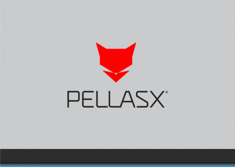 pellasx-logo